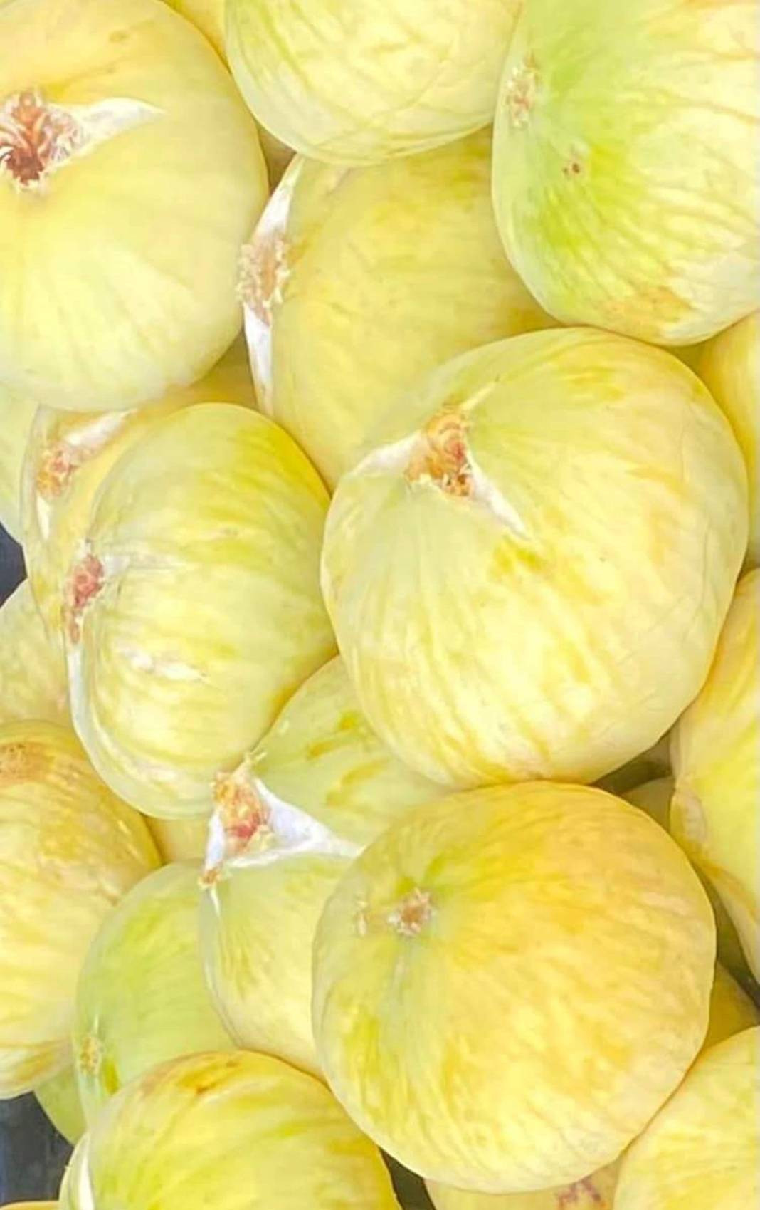 Kilosu 100 TL'den gidiyor üreticinin yüzünü güldürdü - Resim: 7