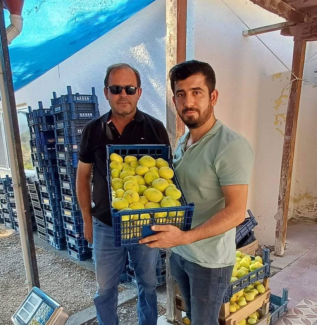 Kilosu 100 TL'den gidiyor üreticinin yüzünü güldürdü - Resim: 3