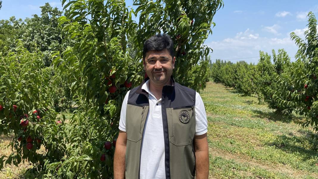 Çanakkale’de üretiliyor Ruslar kapış kapış alıyor! Coğrafi işaretli meyvenin kilosu 35 TL’den gidiyor - Resim: 2