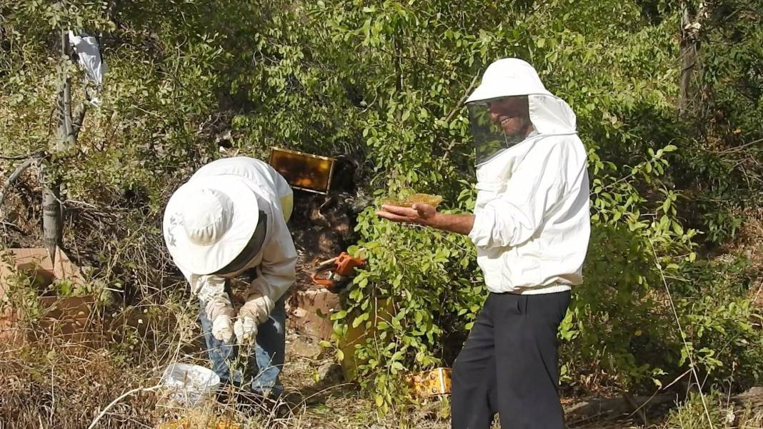 Su kenarından takip edip yuvalarına ulaşıyorlar! Kilogramını 4 bin liradan satıyorlar - Resim: 1