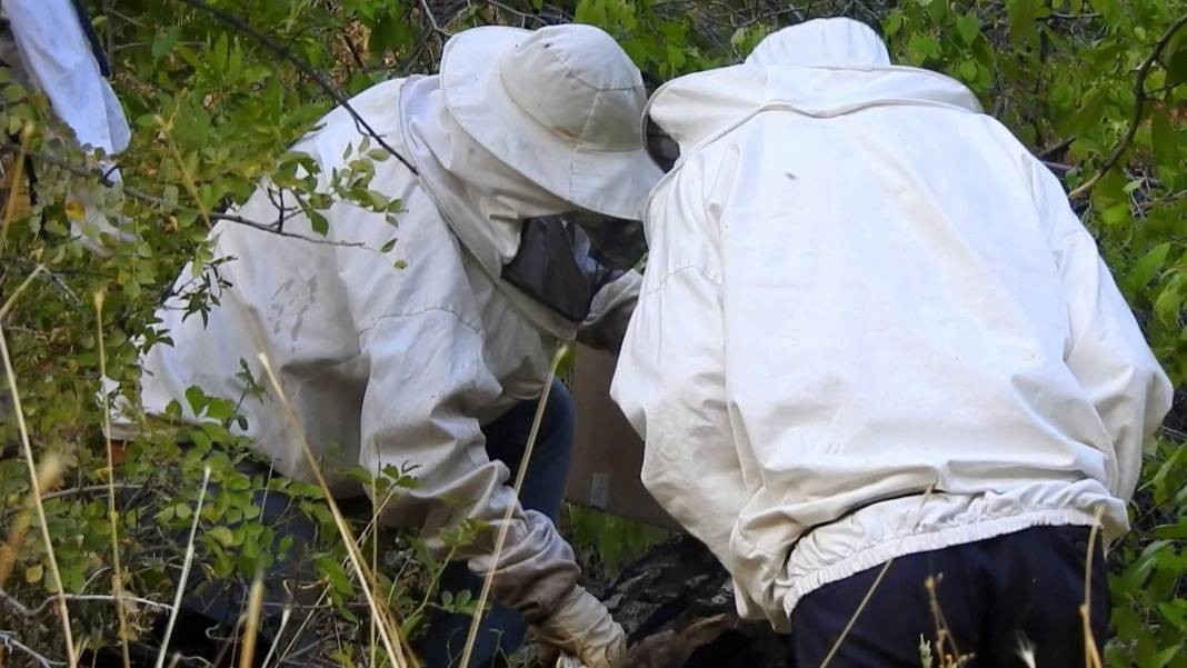 Su kenarından takip edip yuvalarına ulaşıyorlar! Kilogramını 4 bin liradan satıyorlar - Resim: 3