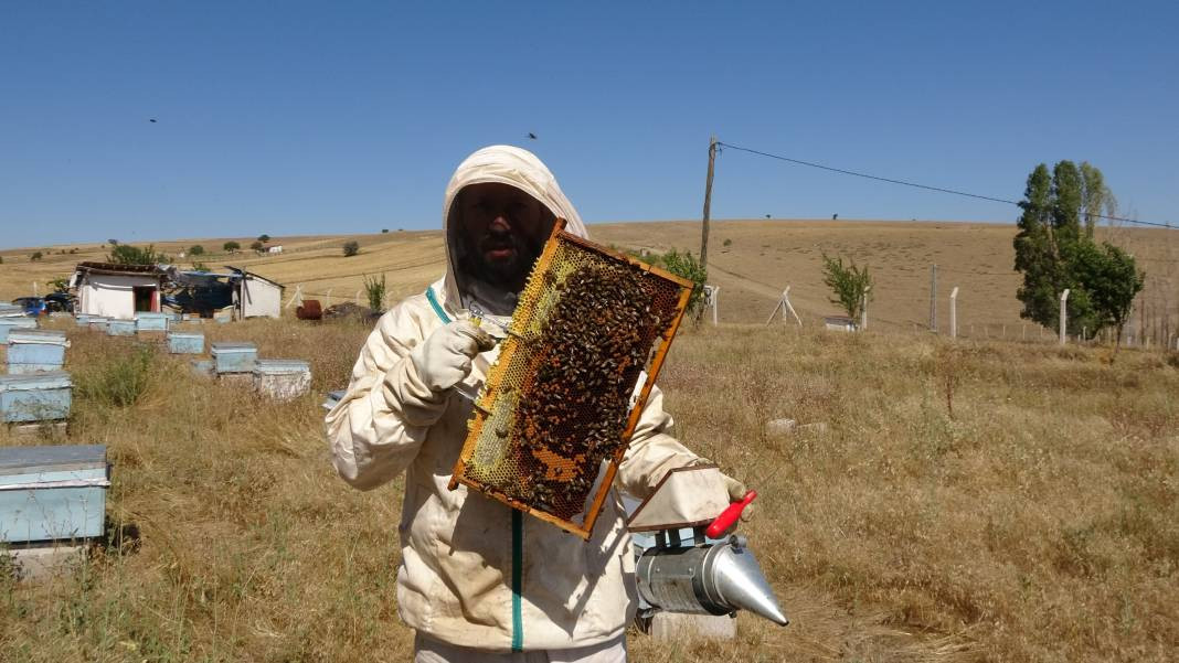 Özel kıyafetlerle hasadı yapılıyor çevre illere dağıtılıyor - Resim: 2