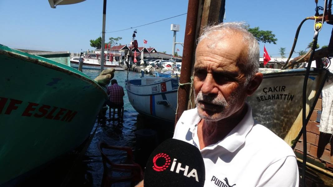 Karadeniz'in kıyısında görüldü. Ürkütücü görüntüsü korku saçıyor - Resim: 1