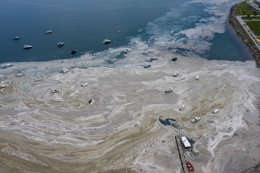 Kabus denizlere geri dönüyor - Resim: 6