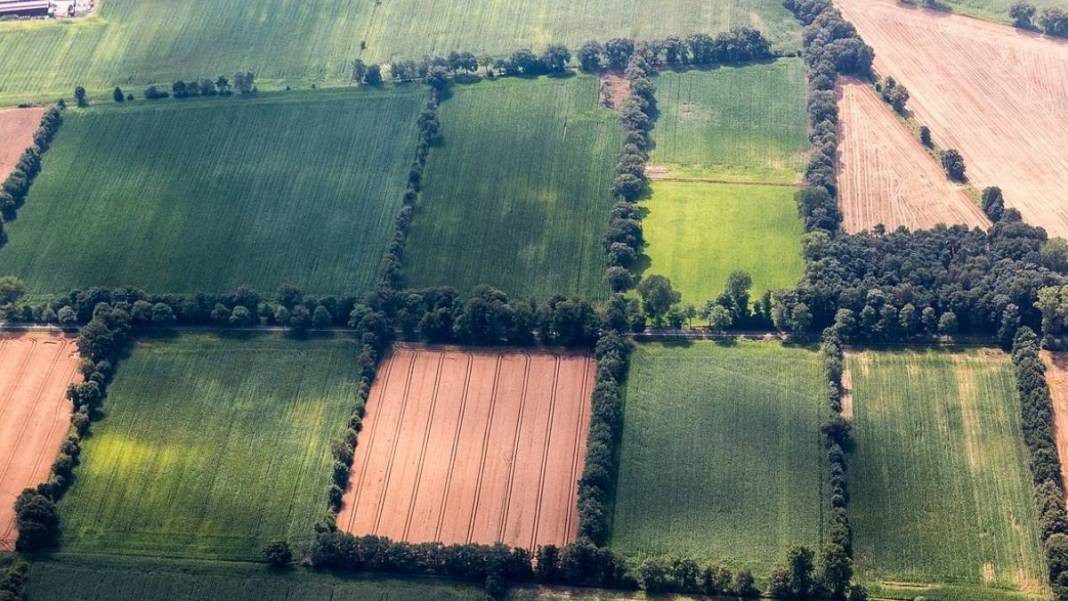 Milli Emlak'tan yazlık bölgede ucuza tapu fırsatı. Temmuz kampanyası duyuruldu - Resim: 5