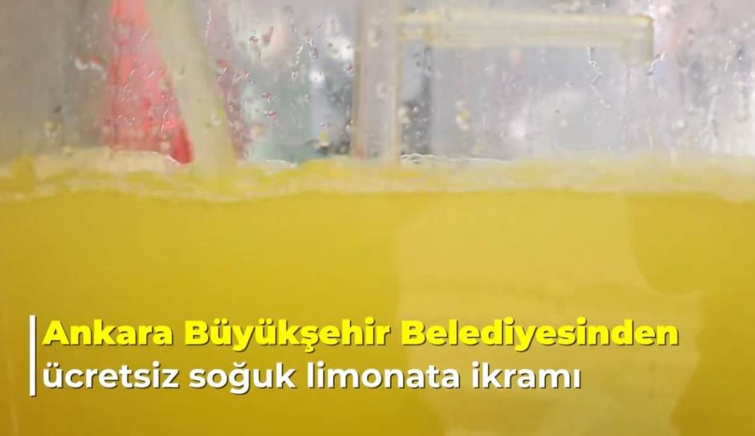 Ücretsiz soğuk limonata ikramı başladı. Duyan herkes o şehirde yaşamak istiyor - Resim: 13