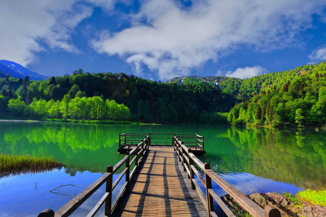 Açık hava insanda neden terapi etkisi yaratır? - Resim: 2