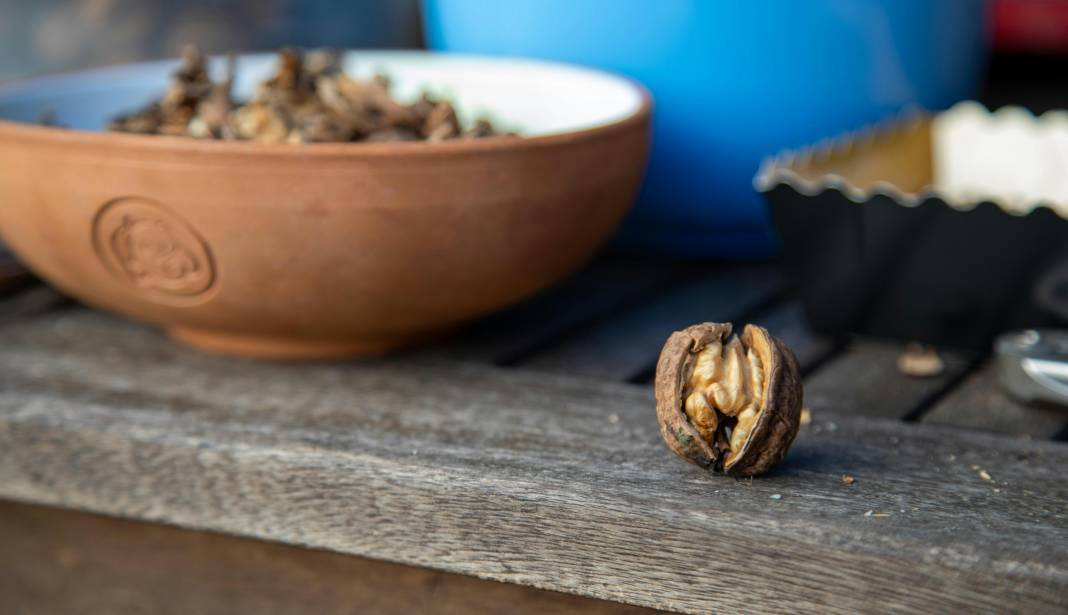 Ceviz yemeden önce bilmeniz gereken 25 gerçek - Resim: 15