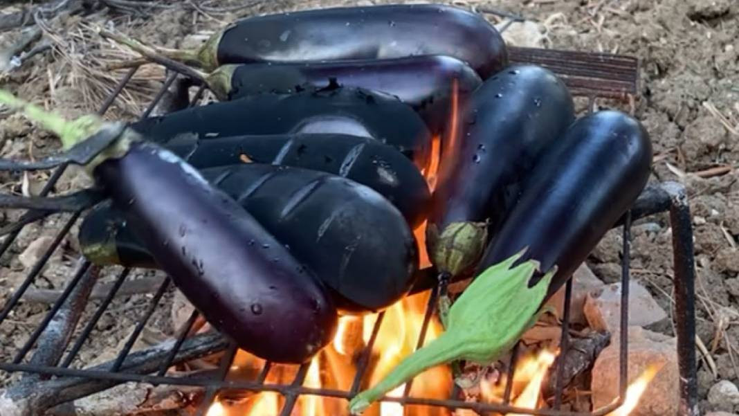 Patlıcan yemeden önce bilmeniz gereken 20 gerçek - Resim: 19