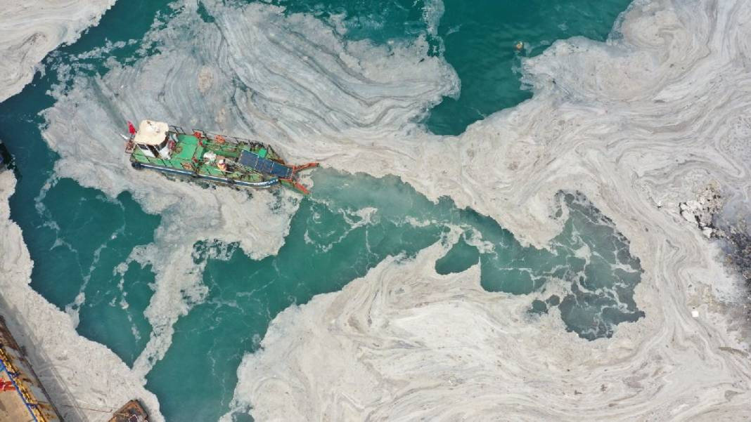 Kabus denizlere geri dönüyor - Resim: 2