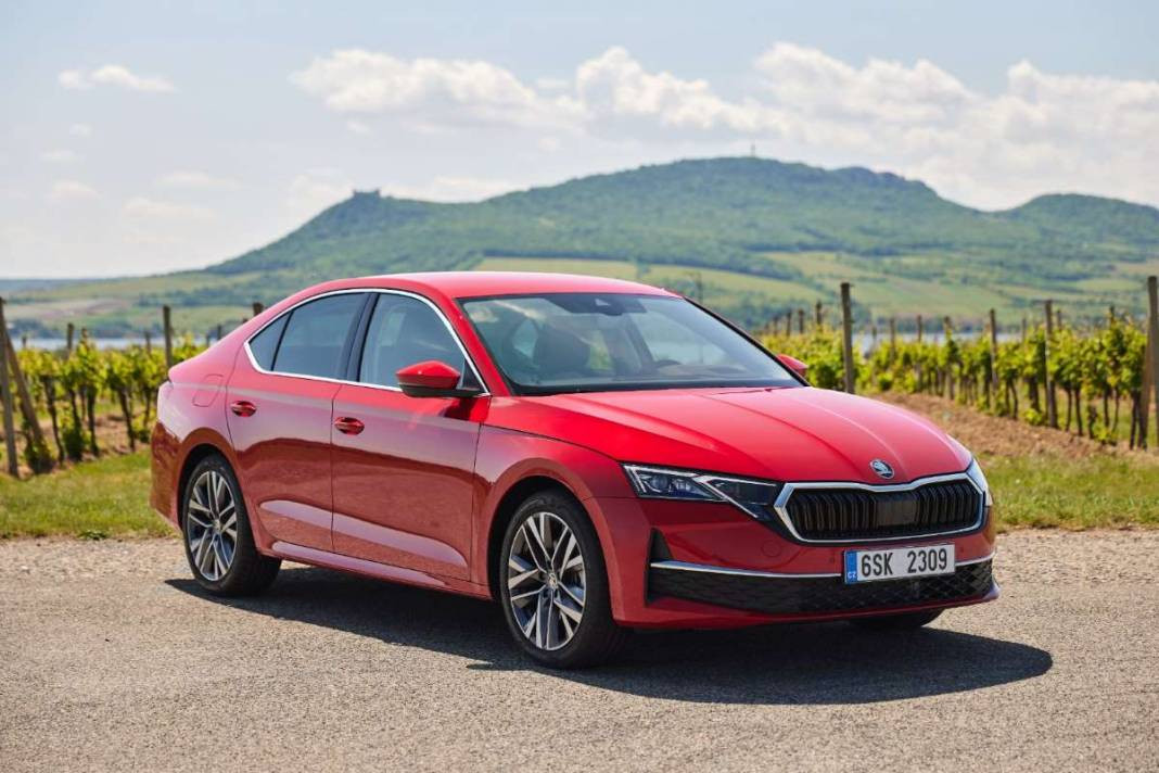 Otomotiv devinden Türkiye'de görülmemiş kampanya. Tarih netleşti yeni özellikleriyle yolları süsleyecek - Resim: 1