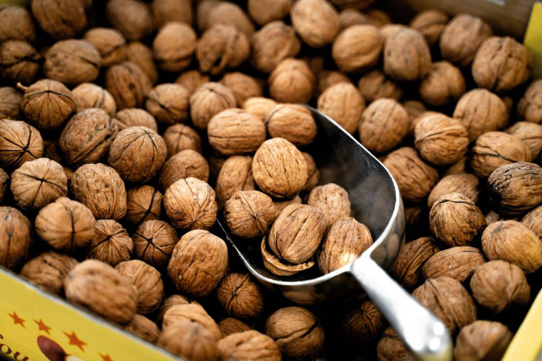 Ceviz yemeden önce bilmeniz gereken 25 gerçek - Resim: 12