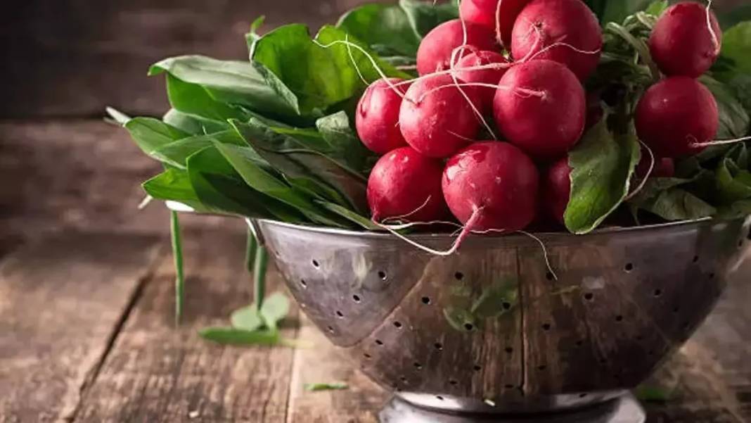 Turp yemeden önce bilmeniz gereken 25 gerçek - Resim: 18