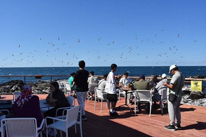 Karadeniz'in yeni turizm rotası: Kayalık alan üzerinde oluşturuldu - Resim: 8