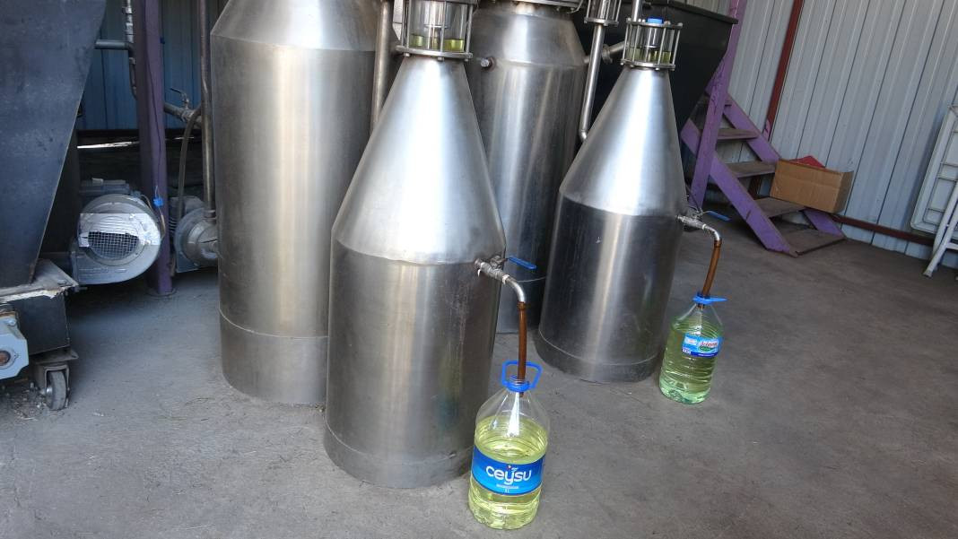 Migren dahil tüm ağrıları kökten bitiriyor. Hasadı 20 gün önce başladı - Resim: 10