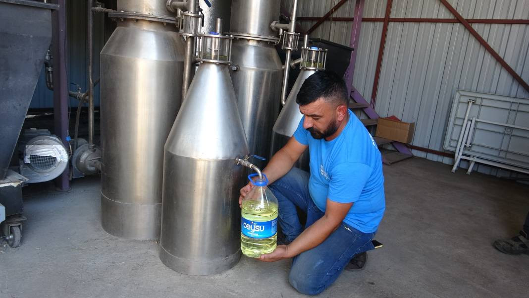 Migren dahil tüm ağrıları kökten bitiriyor. Hasadı 20 gün önce başladı - Resim: 7