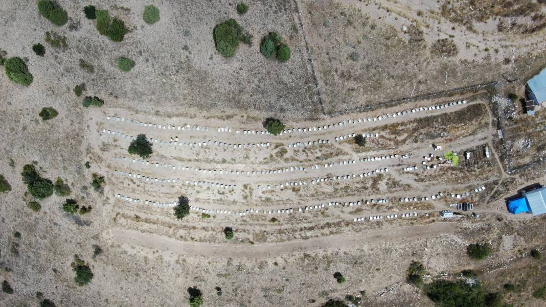 Kısırlığı anında bitiriyor kalbi saat gibi çalıştırıyor. Kanser tedavisinin vazgeçilmezi. 100 gramı 2 bin 500 TL - Resim: 9