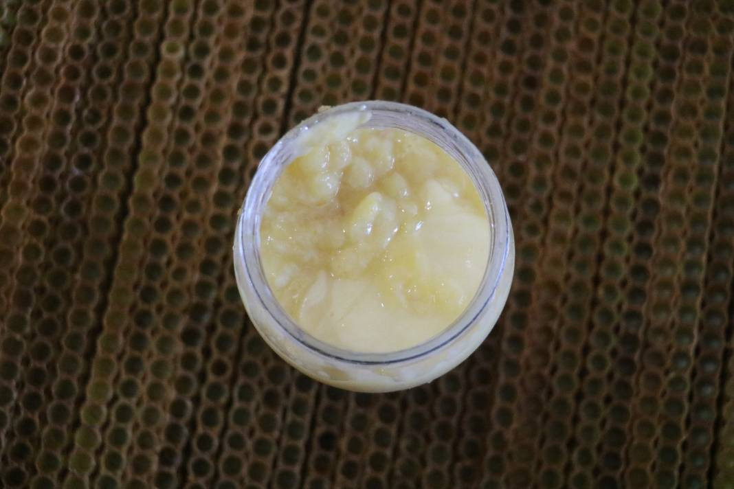 Kısırlığı anında bitiriyor kalbi saat gibi çalıştırıyor. Kanser tedavisinin vazgeçilmezi. 100 gramı 2 bin 500 TL - Resim: 3