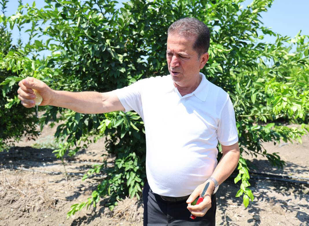 Bu meyvenin tadı kışın başka ilkbaharda bambaşka! Tam bir C vitamini deposu - Resim: 6