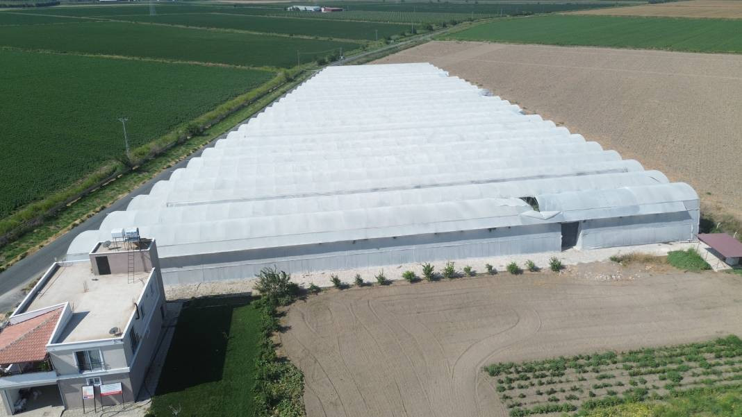 Serada kilosu 20 manavda 70 TL. Tropikal meyvede hasat sevinci - Resim: 7