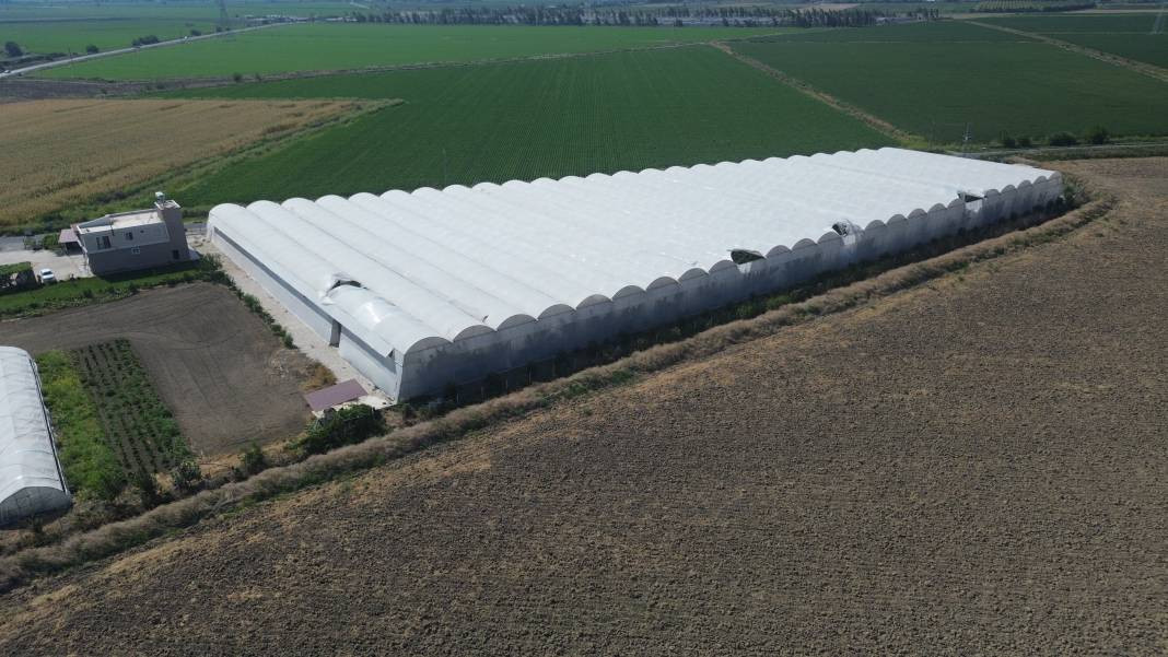 Serada kilosu 20 manavda 70 TL. Tropikal meyvede hasat sevinci - Resim: 2