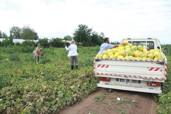 30-40 TL ile başladı 3 TL'ye kadar düştü - Resim: 5