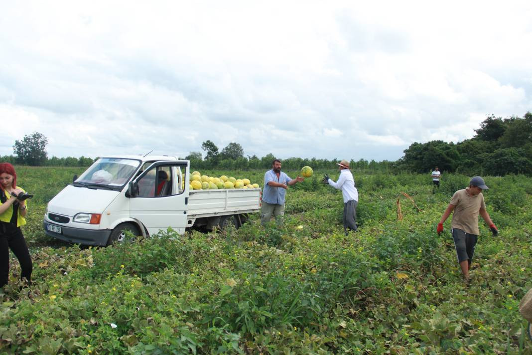 30-40 TL ile başladı 3 TL'ye kadar düştü - Resim: 3
