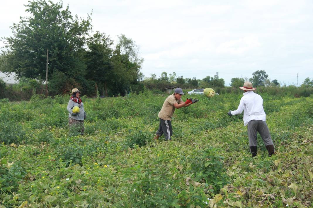 30-40 TL ile başladı 3 TL'ye kadar düştü - Resim: 1