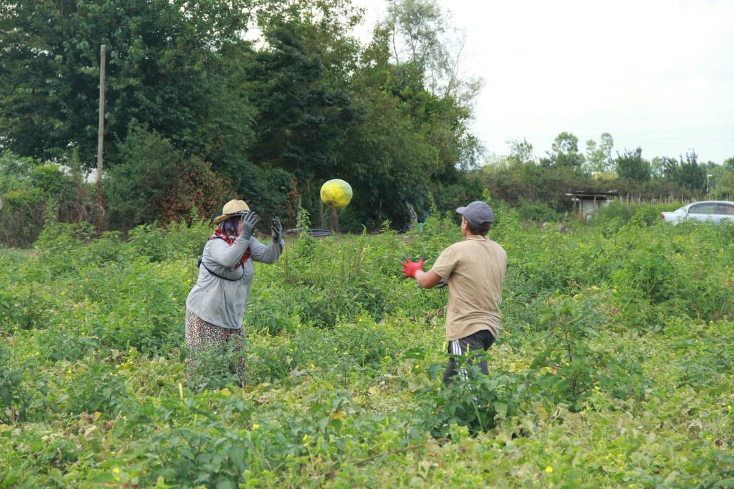 30-40 TL ile başladı 3 TL'ye kadar düştü - Resim: 2