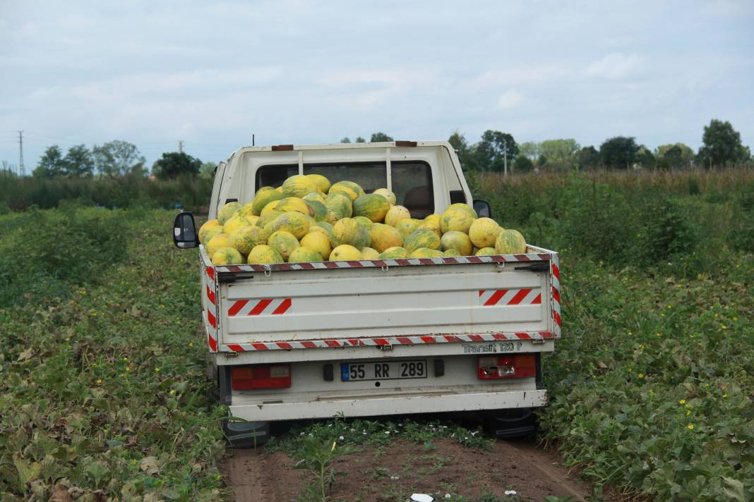 30-40 TL ile başladı 3 TL'ye kadar düştü - Resim: 4