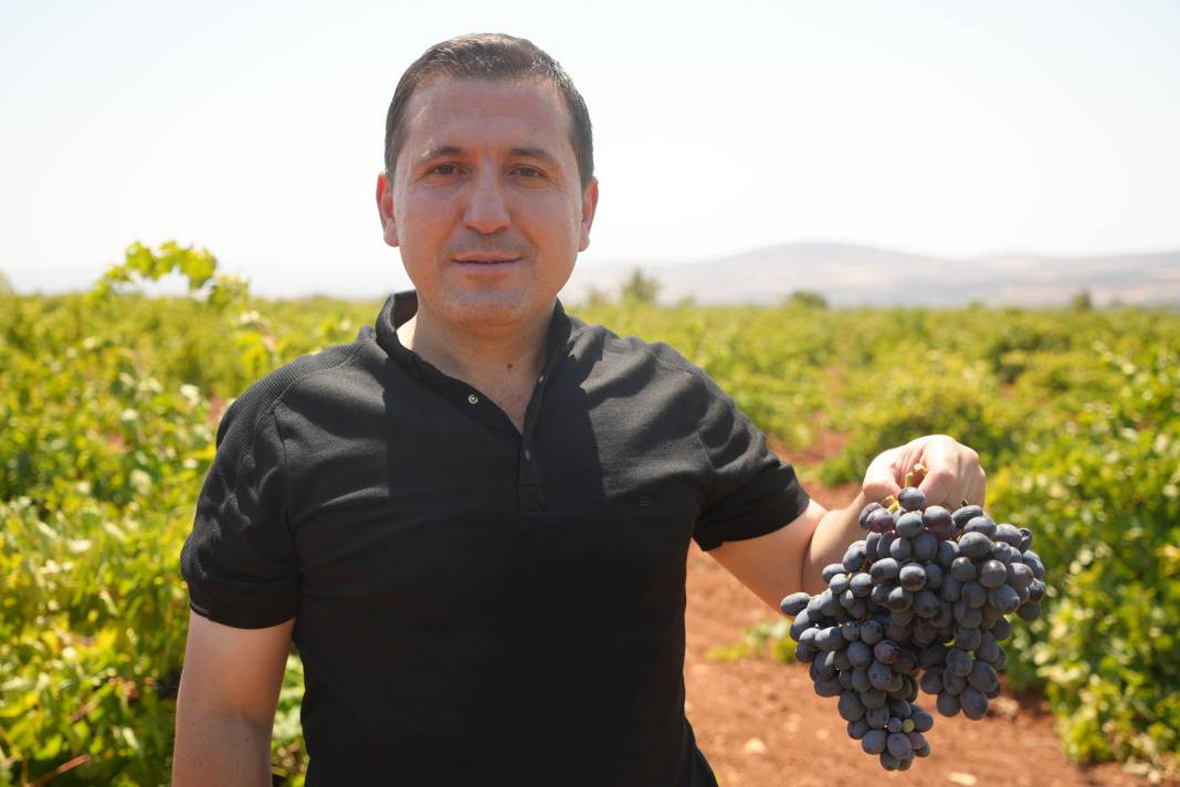 42 derece sıcakta toplanıyor Tarlada 16 markette 40 TL. Sınırın sıfır noktasında hasadı başladı - Resim: 3