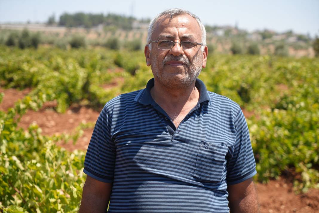 42 derece sıcakta toplanıyor Tarlada 16 markette 40 TL. Sınırın sıfır noktasında hasadı başladı - Resim: 1