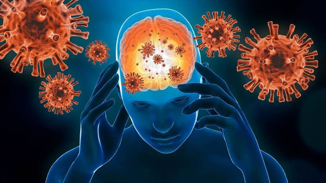 Dünya Sağlık Örgütü 'teşhis konulamayan' süper bakteri alarmı verdi. 43 ülkeden 28'inde tespit edildi - Resim: 3