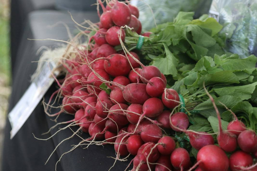 Turp yemeden önce bilmeniz gereken 25 gerçek - Resim: 9