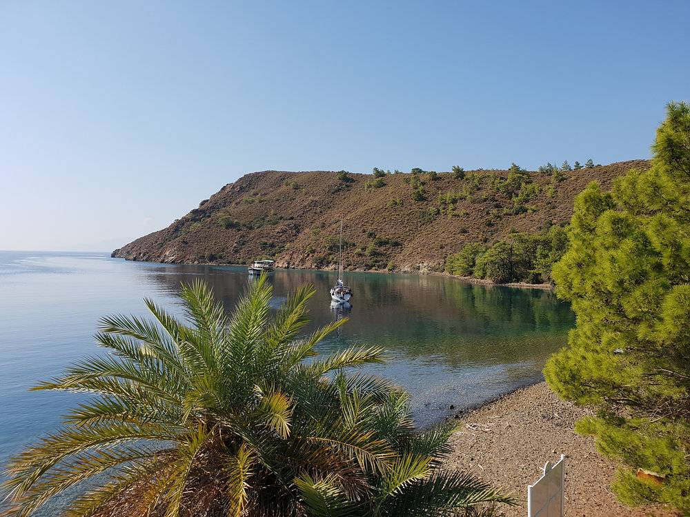 Ormanın ortasındaki büyüleyici sahil ortaya çıktı. Her yıl tekrar tekrar gitmek isteyeceksiniz - Resim: 5