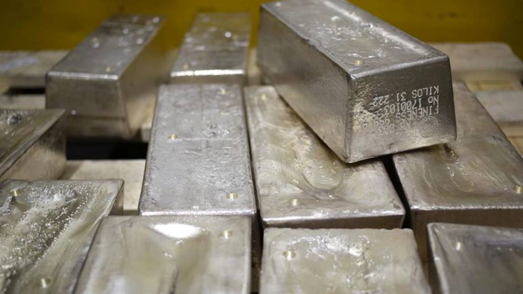 Hatice Kolçak: Ne altın ne dolar ne de borsa. Hepsini ezip geçecek - Resim: 2