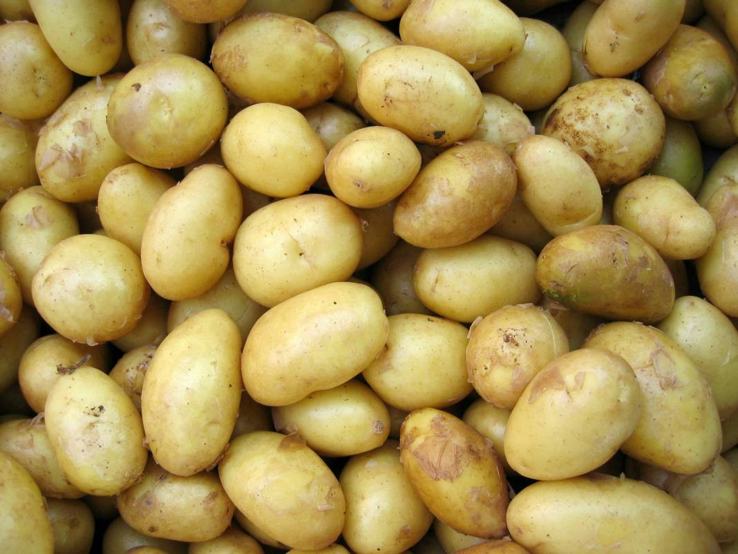 Patates yemeden önce bilmeniz gereken 25 gerçek - Resim: 1