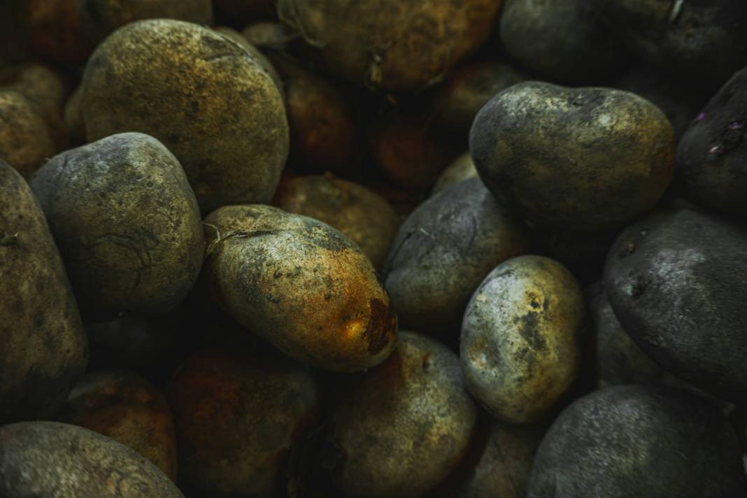 Patates yemeden önce bilmeniz gereken 25 gerçek - Resim: 23