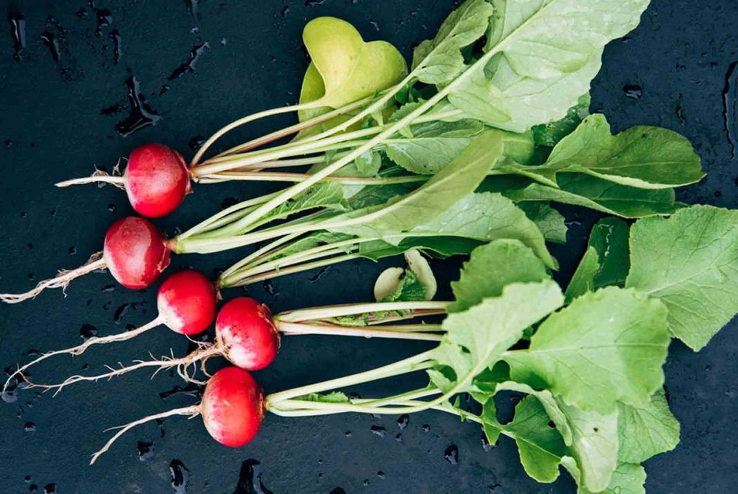Turp yemeden önce bilmeniz gereken 25 gerçek - Resim: 12