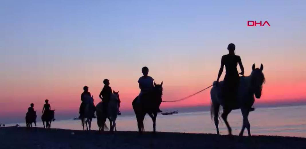 Turizm adı altında atlara böyle eziyet ettiler - Resim: 16