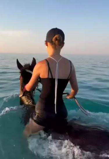 Turizm adı altında atlara böyle eziyet ettiler - Resim: 2