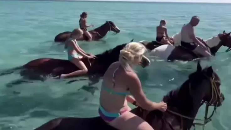 Turizm adı altında atlara böyle eziyet ettiler - Resim: 3