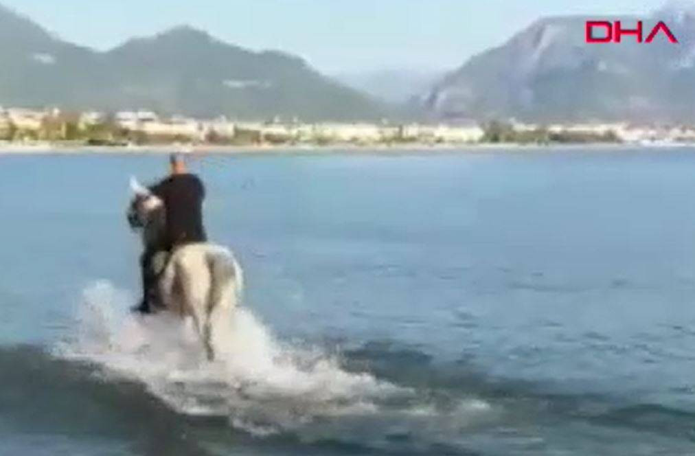 Turizm adı altında atlara böyle eziyet ettiler - Resim: 11