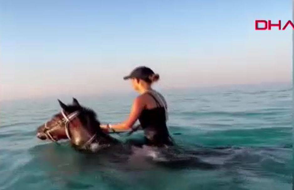 Turizm adı altında atlara böyle eziyet ettiler - Resim: 14