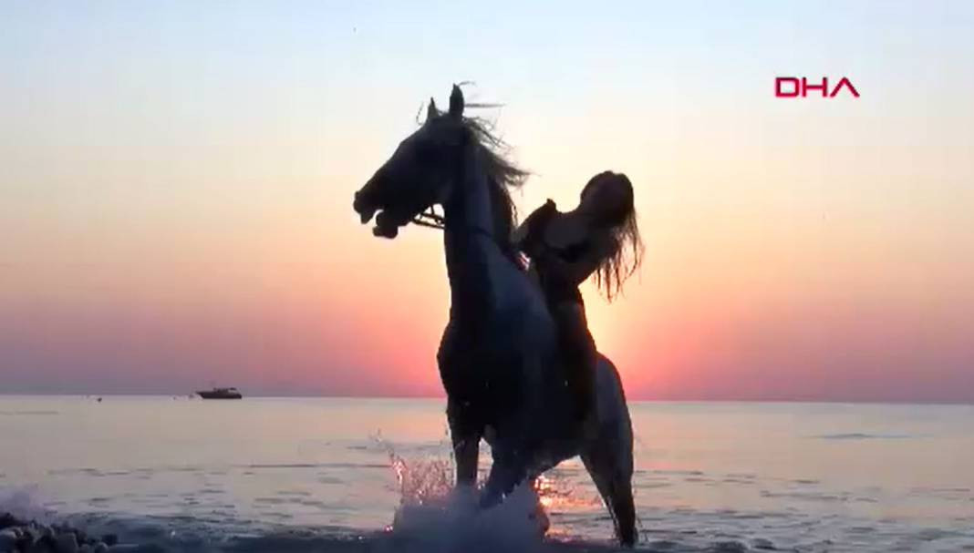 Turizm adı altında atlara böyle eziyet ettiler - Resim: 5