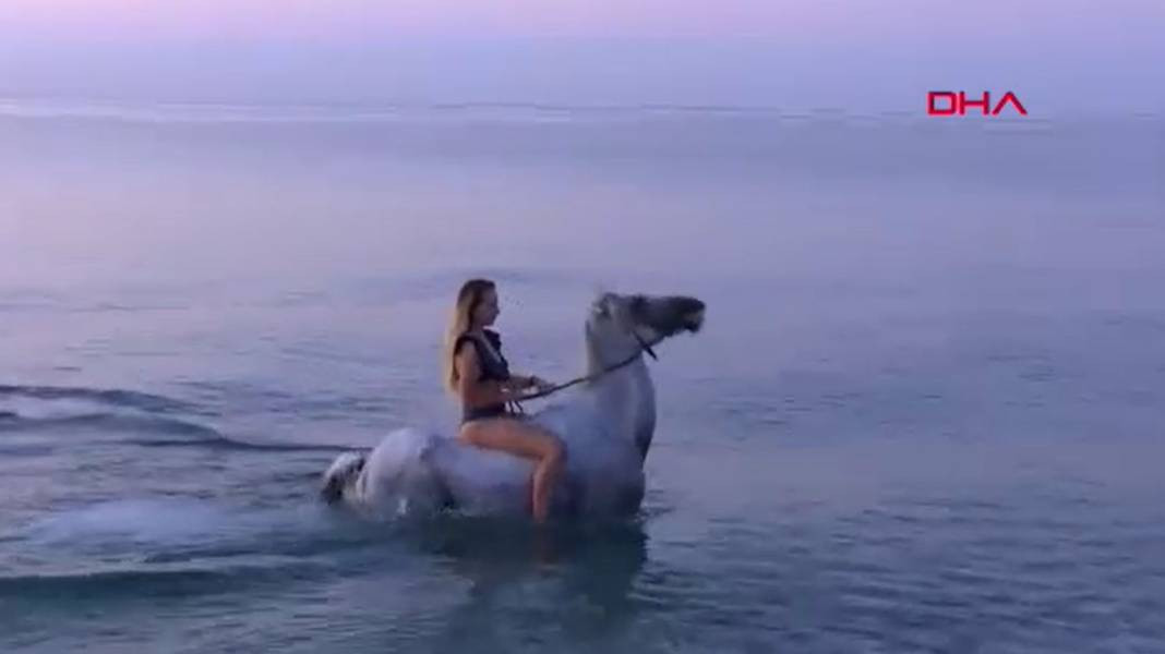 Turizm adı altında atlara böyle eziyet ettiler - Resim: 10