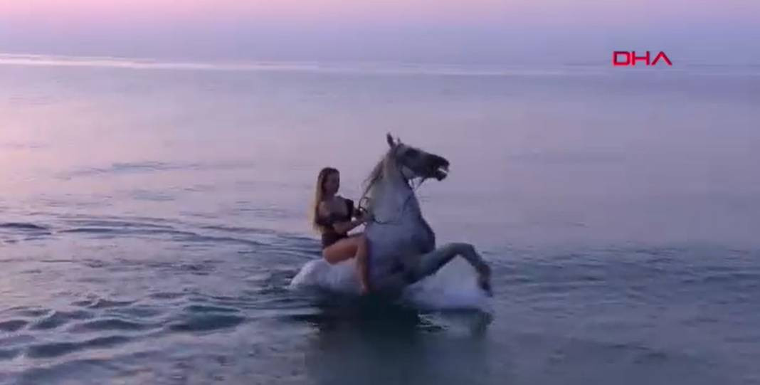 Turizm adı altında atlara böyle eziyet ettiler - Resim: 9