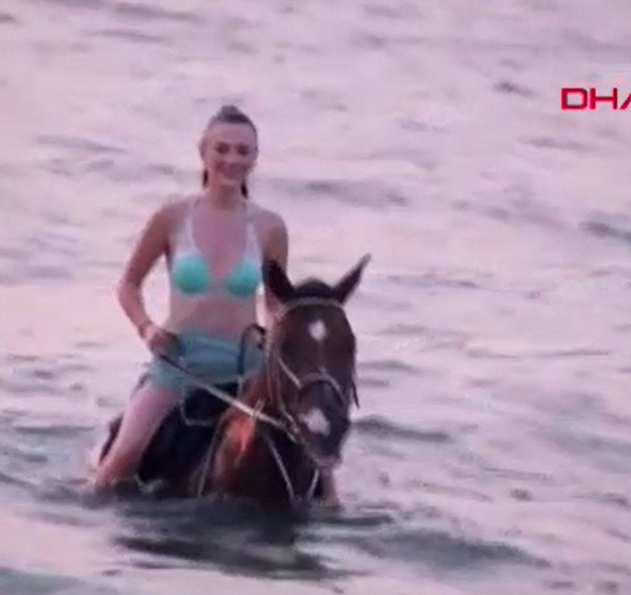 Turizm adı altında atlara böyle eziyet ettiler - Resim: 4