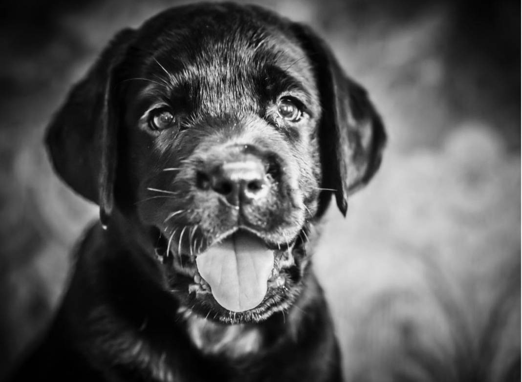 Günlük hayatta doğru bildiğimiz 25 yanlış - Resim: 14