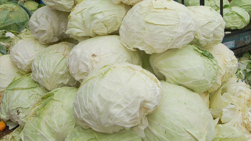 Kışın tüketilmesi gereken 10 sebze ve meyve - Resim: 3